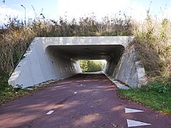 Bemmel, Fahrradtunnel unterhalb des Bemmelseweg