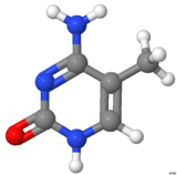 Image illustrative de l’article 5-Méthylcytosine