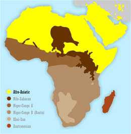 Afroaziātu valodas