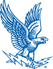 Air Force Falcons logo 1963-1994.png