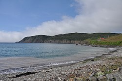 Branch Cove Fossiliferous Rocks