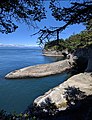 Cape Flattery