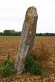 Le menhir vu de l'Est.