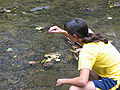 A woman takes samples of water from a river.