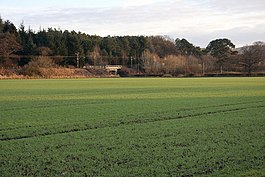 Field near Newton - geograph.org.uk - 1109662.jpg