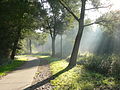 Failed because of: blown highlights. - A foot path near Diepenbeek.