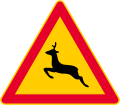Animals (Deer)