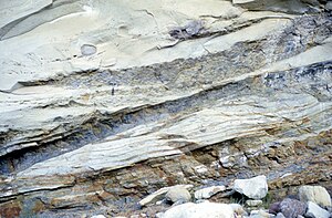 Giant shale rip-up clast in the Lowe S1 layer of a high-density turbidite. Cozy Dell Formation, California.