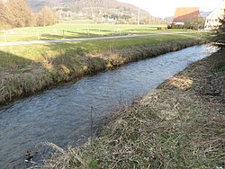 Stream or small river running through some fields with a forested mountain in the background