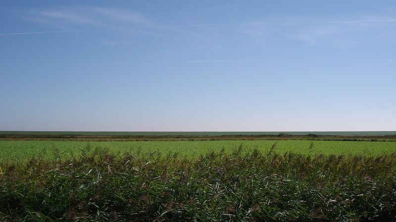 File:Holland countryside wide open plain.jpg