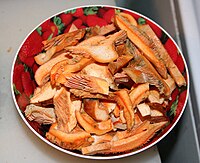 Sliced milk-caps, showing the orange milk appearing at mushroom edges Lactarius deliciosus sliced email.jpg