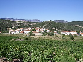 Image illustrative de l’article Côtes-du-Roussillon