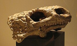 Lanthanosuchus