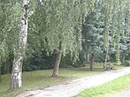 Park in Ledce