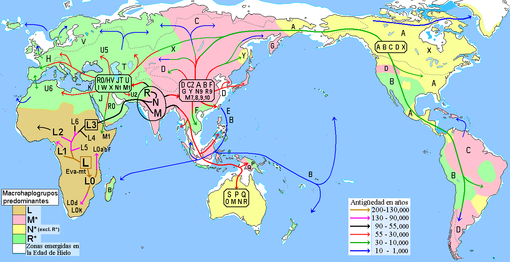 １．先史時代の世界（人類の起源・移動地図・年表） - 比較ジェンダー 