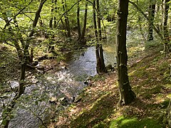 Ennepe am Fuß des Hohensteins