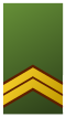 Nederländernas armé - Sergeant majoor