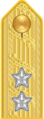 Shoulder mark on uniform m/1910 (1910–1923)