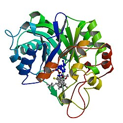 Aldo-Keto-Reduktase-Familie 1, Mitglied A1