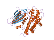 2btz: CRYSTAL STRUCTURES OF HUMAN PYRUVATE DEHYDROGENASE KINASE 2 CONTAINING PHYSIOLOGICAL AND SYNTHETIC LIGANDS