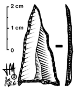 Punta de Tardenois