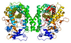 Protein CYP2C8 PDB 1pq2.png