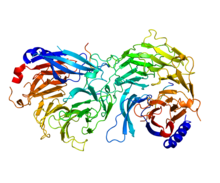 Protein RBBP4