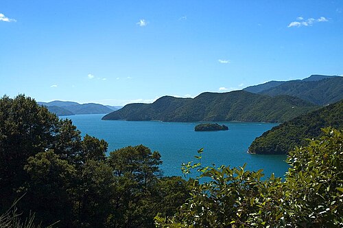 Queen Charlotte Sound / Tōtaranui things to do in Picton