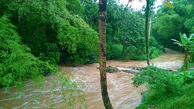 Cibuco River during a rainy day in Cibuco barrio