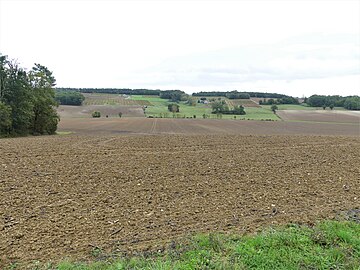 Le vallon de l'Escalette au nord-ouest du lieu-dit Peynau.