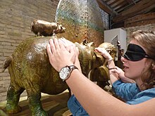 Mani esplorano la scultura in bronzo che rappresenta una mamma ippopotamo con una piccolo sulla schiene e una foglia nello sfondo
