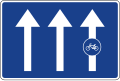 S-64b Radfahrstreifen oder Radweg auf der Fahrbahn