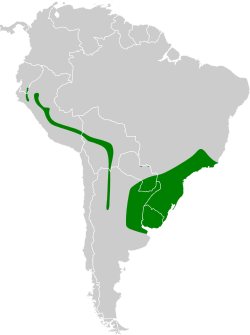 Distribución geográfica del ticotico cejudo.