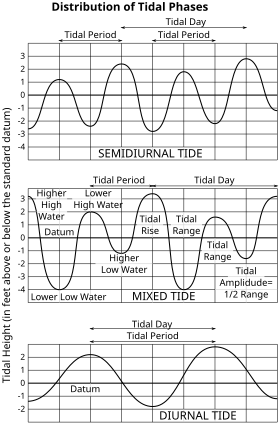 Variation of tides over a day Tide type.svg