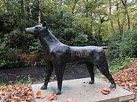 De hond (1950), Antwerpen