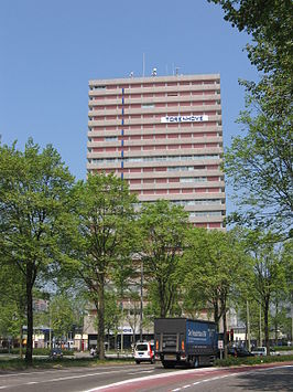 Delft Hoog