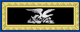 Знаки различия капитана ВМС США (1861-1862) .png