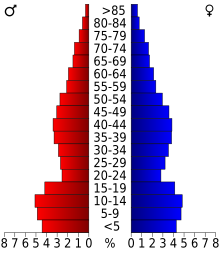 Schéma représentant la population du comté, par tranche d'âge. En rouge, à gauche, les femmes, en bleu à droite, les hommes.