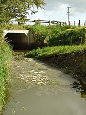 Water pollution due to dairy farming in the Wairarapa in New Zealand Water pollution in the Wairarapa.JPG