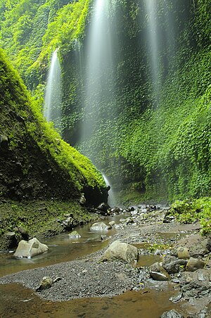 Waterfall Madakaripura B.JPG