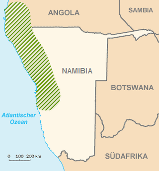 Description de l'image Welwitschia Mirabilis Area of Circulation.png.