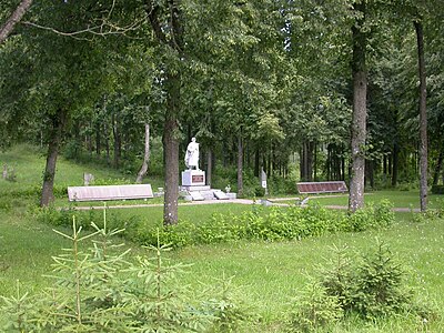 Общий вид захоронения в г. Титувенай