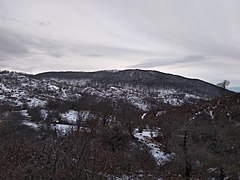 Највисокиот врв и гребенот Волчјак во средишниот дел на Серта