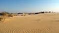 Oleshky Sands, the second-largest desert in Europe