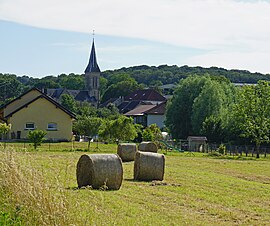 A general view of Liévans