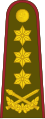 Generolas leitenantas[३४] (Lithuanian Land Forces)