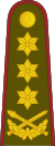 21-Литовская армия-LG.svg