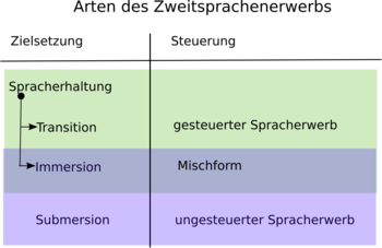 Arten des Zweitsprachenerwerbs