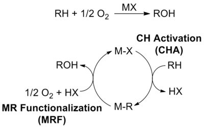 AlkaneOxCy