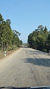 विपी कोइराला राजमार्ग
